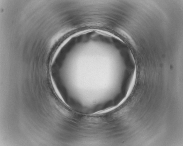 X0000088661027200706152027