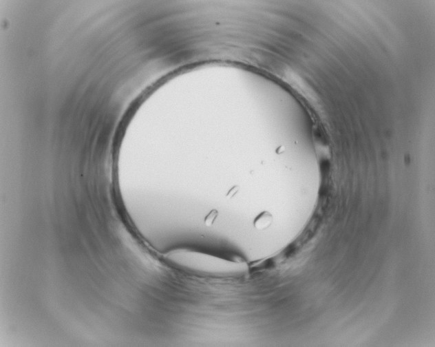 X0000088661028200706152027