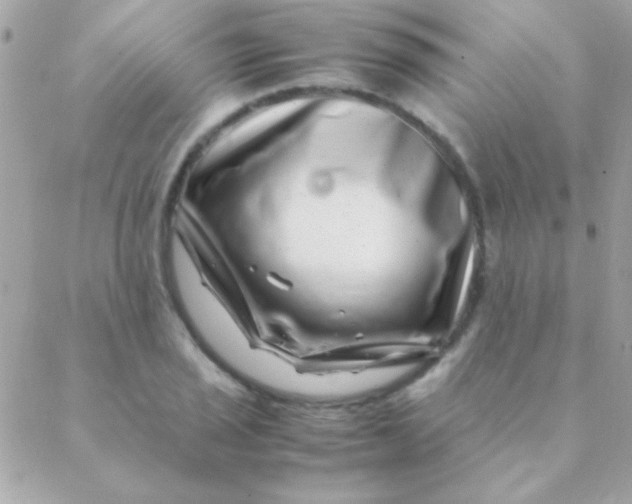 X0000088661029200706152027