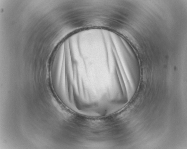 X0000088661031200706152027