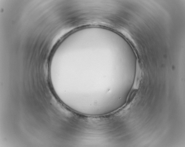 X0000088661032200706152027