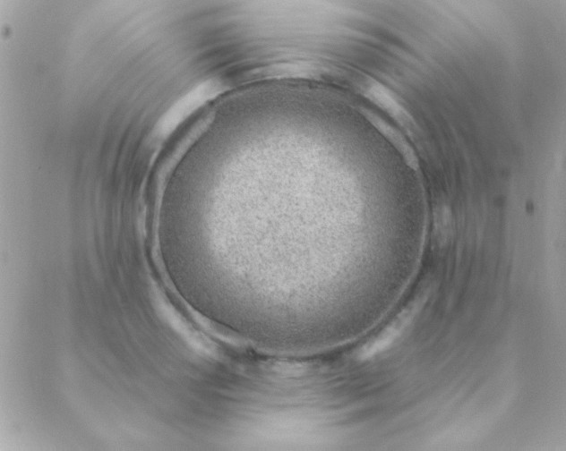 X0000088661034200706152027