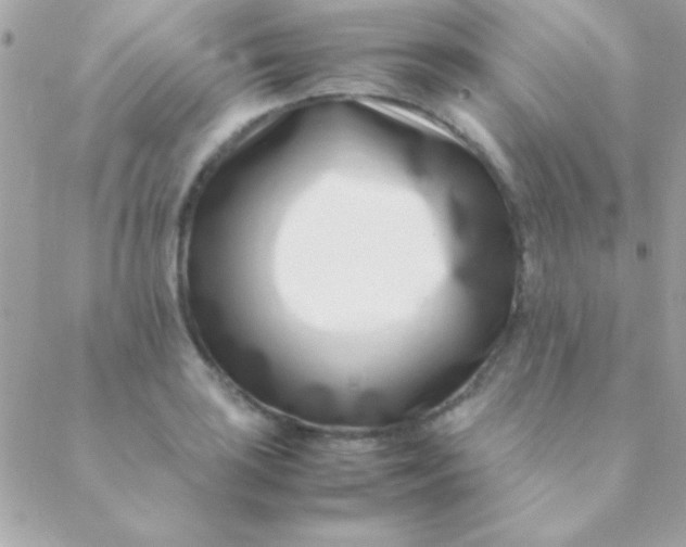 X0000088661035200706152027