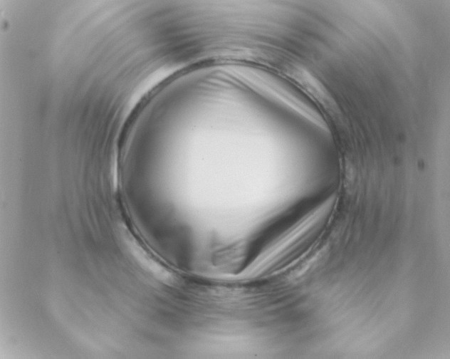 X0000088661036200706152027