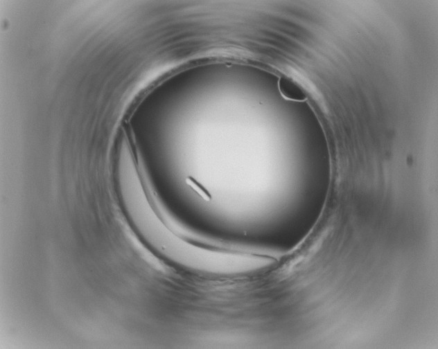 X0000088661037200706152027