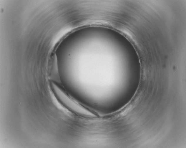 X0000088661038200706152027