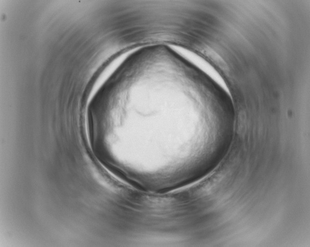 X0000088661039200706152027