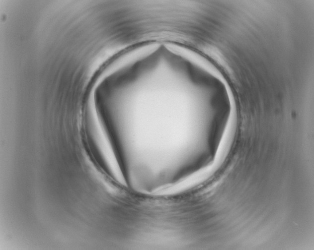 X0000088661040200706152027