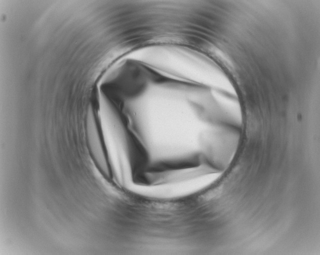 X0000088661041200706152027