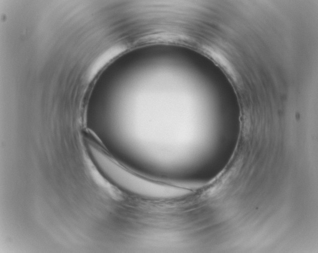 X0000088661042200706152027