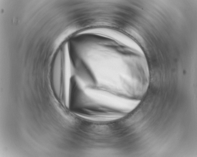 X0000088661043200706152027