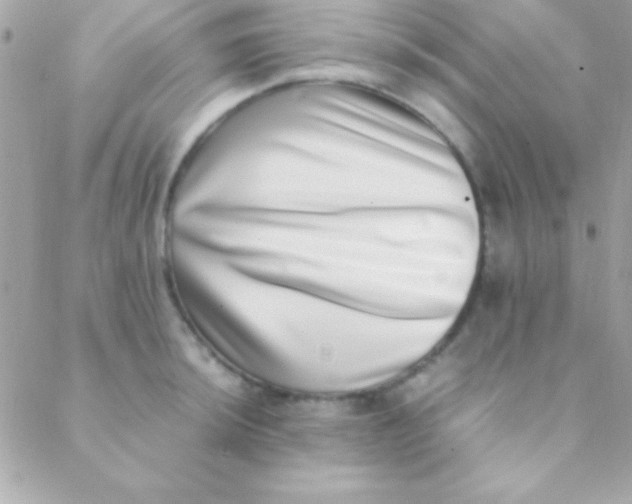 X0000088661044200706152027