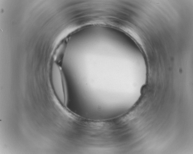 X0000088661045200706152027