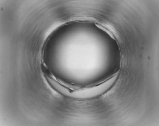 X0000088661046200706152027