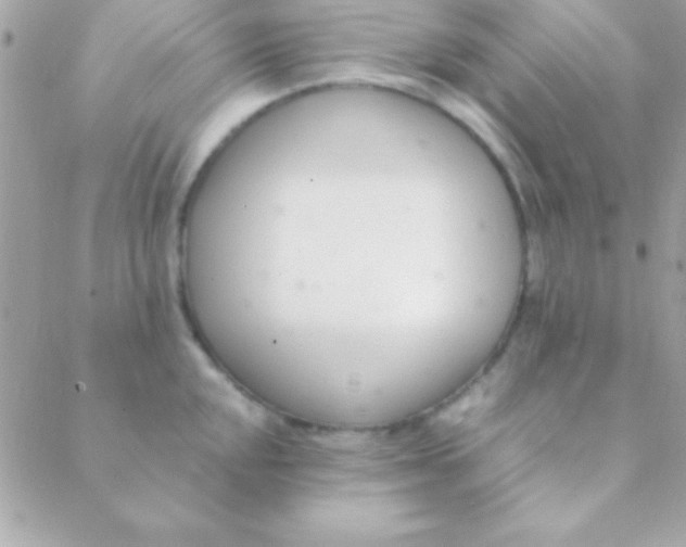 X0000088661048200706152027