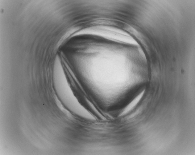 X0000088661049200706152027