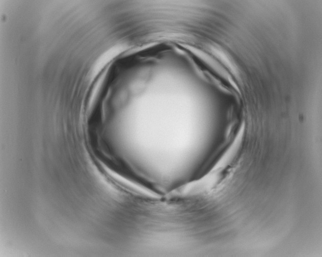 X0000088661050200706152028