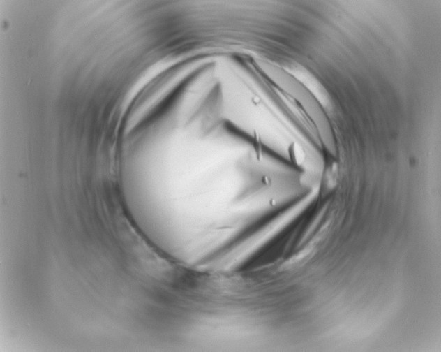 X0000088661052200706152028