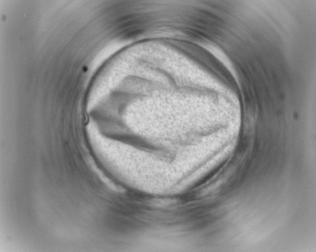 X0000088661053200706152028