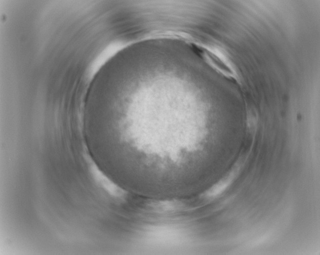 X0000088661054200706152028