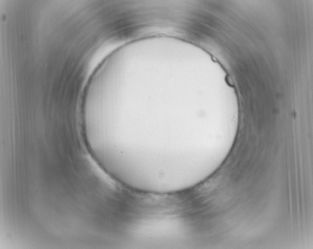 X0000088661056200706152028