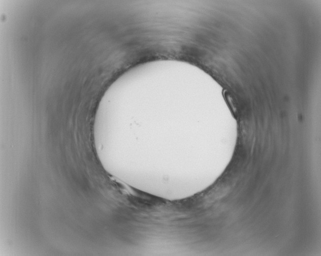 X0000088661057200706152027