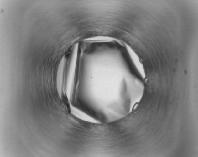 X0000088661058200706152027