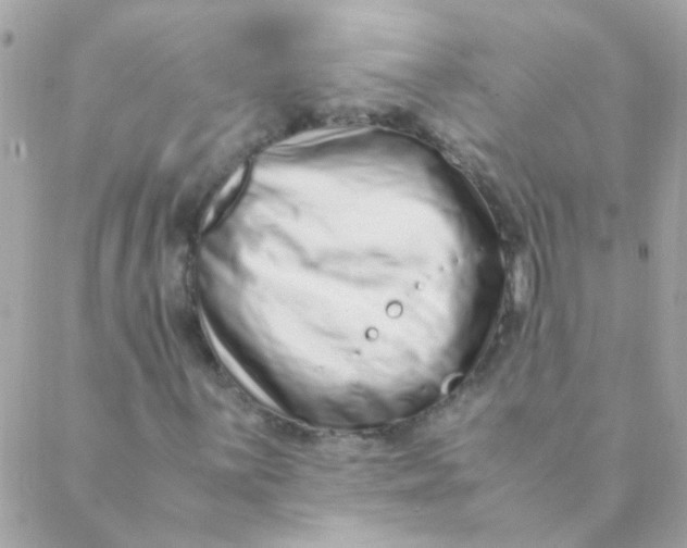 X0000088661059200706152027