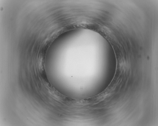 X0000088661060200706152027