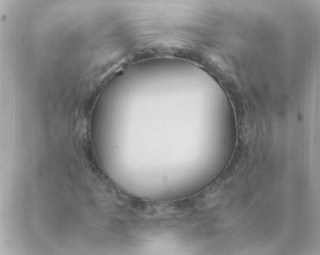 X0000088661061200706152027