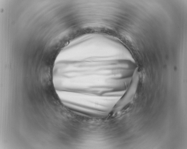 X0000088661062200706152027