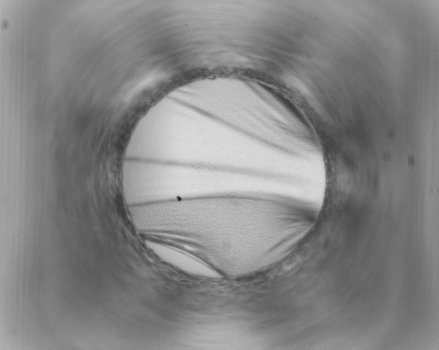 X0000088661063200706152027