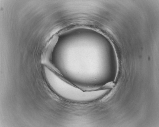 X0000088661065200706152027