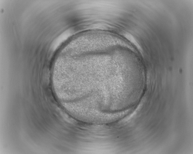 X0000088661067200706152027