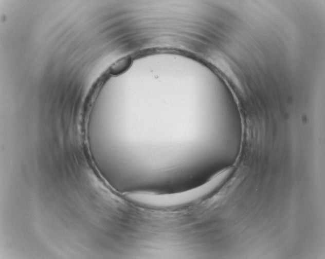 X0000088661068200706152027