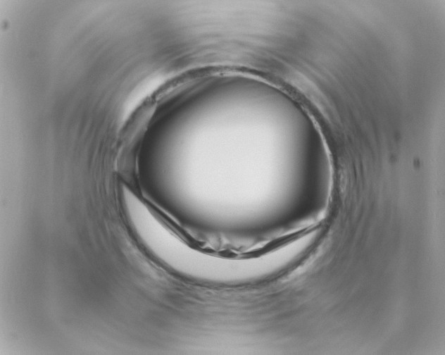 X0000088661069200706152027