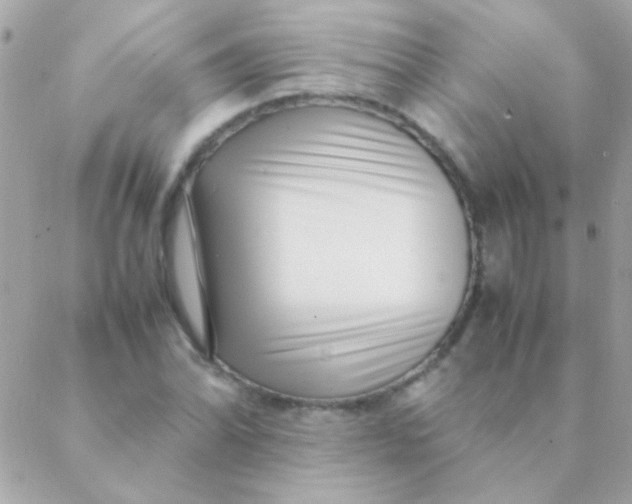 X0000088661070200706152027