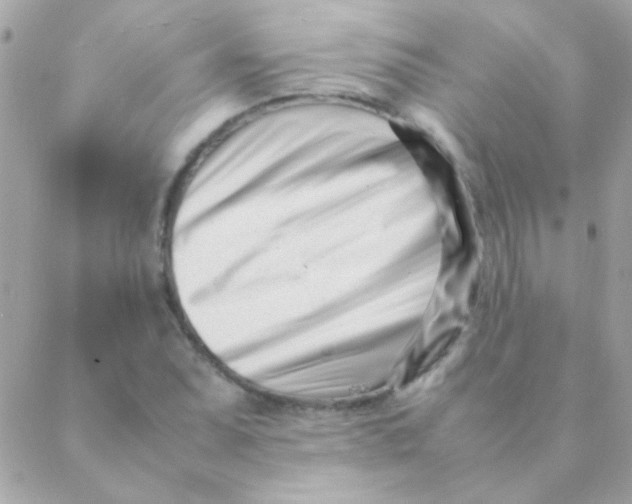 X0000088661071200706152027