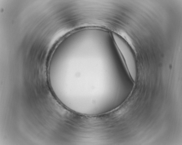 X0000088661072200706152027