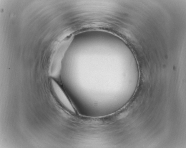 X0000088661073200706152027