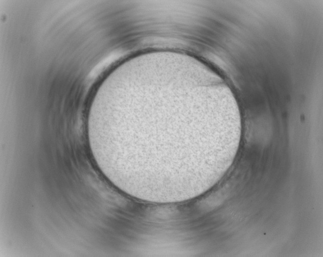 X0000088661074200706152027