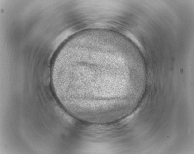 X0000088661075200706152027