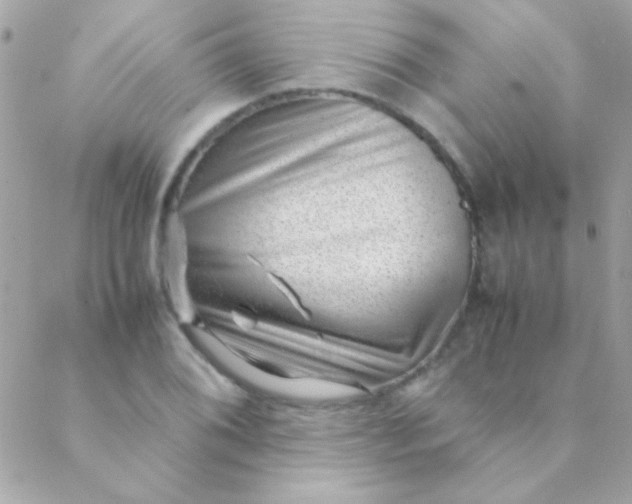 X0000088661076200706152027