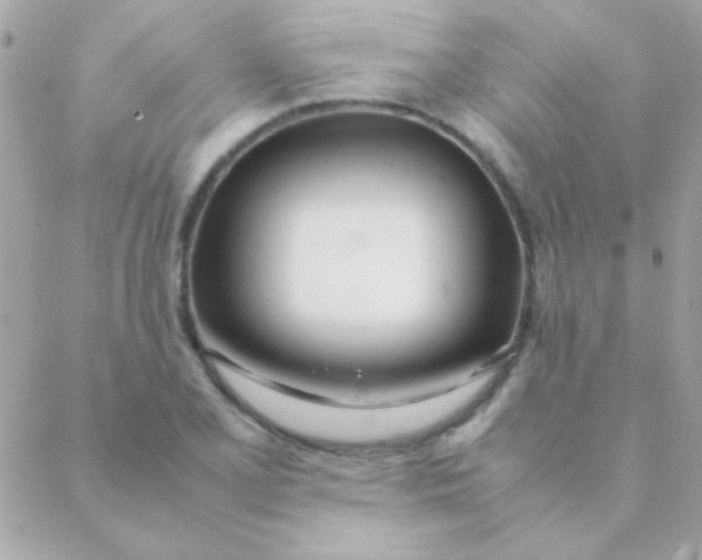 X0000088661077200706152026