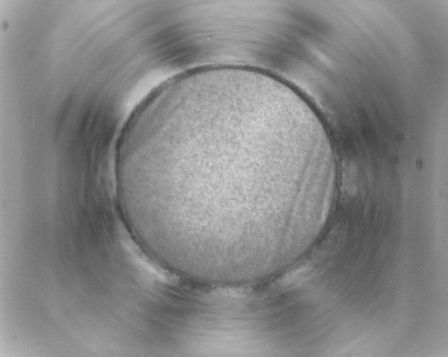 X0000088661078200706152026