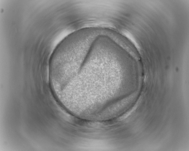 X0000088661079200706152026