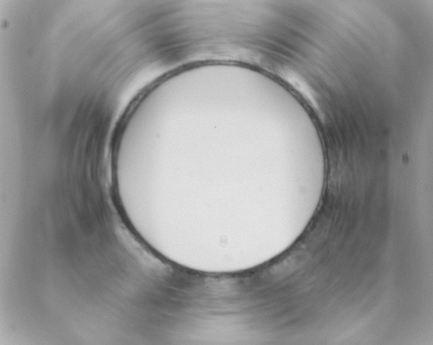 X0000088661080200706152026