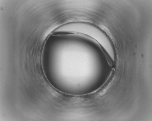 X0000088661081200706152026