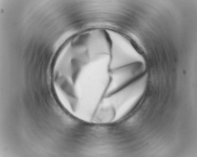 X0000088661082200706152026