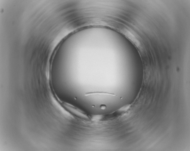 X0000088661084200706152026